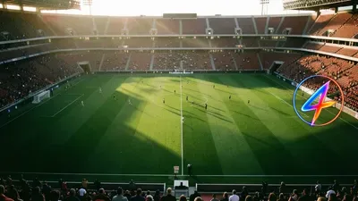 FC Bayern droht ein Verlust, weil João Palhinha zu Benfica wechselt