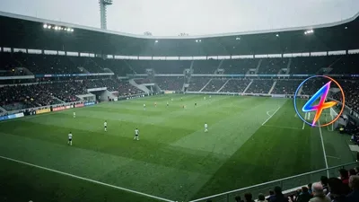 PETAs juristischer Protest gegen Polizeipferde im Mannheimer Derby